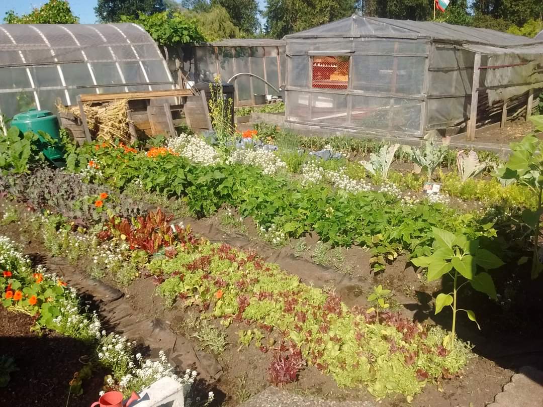 CommunityGarden